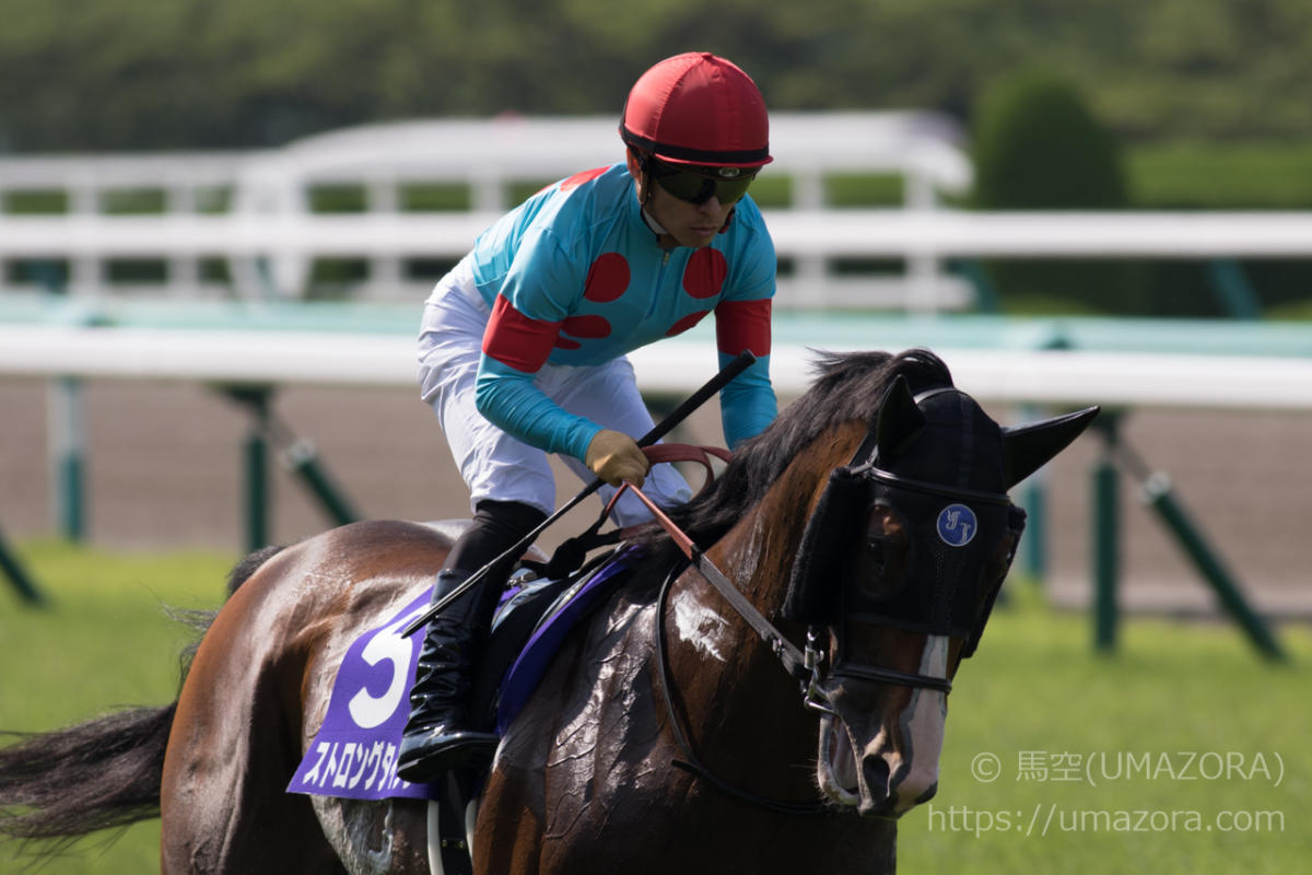 （レア物）名馬 ミッキーロケット 宝塚記念優勝記念ブルゾン レア物）名馬 ミッキーロケット 宝塚記念優勝記念ブルゾン